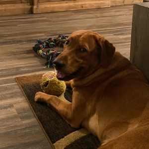 Meet your Posher, Chloe